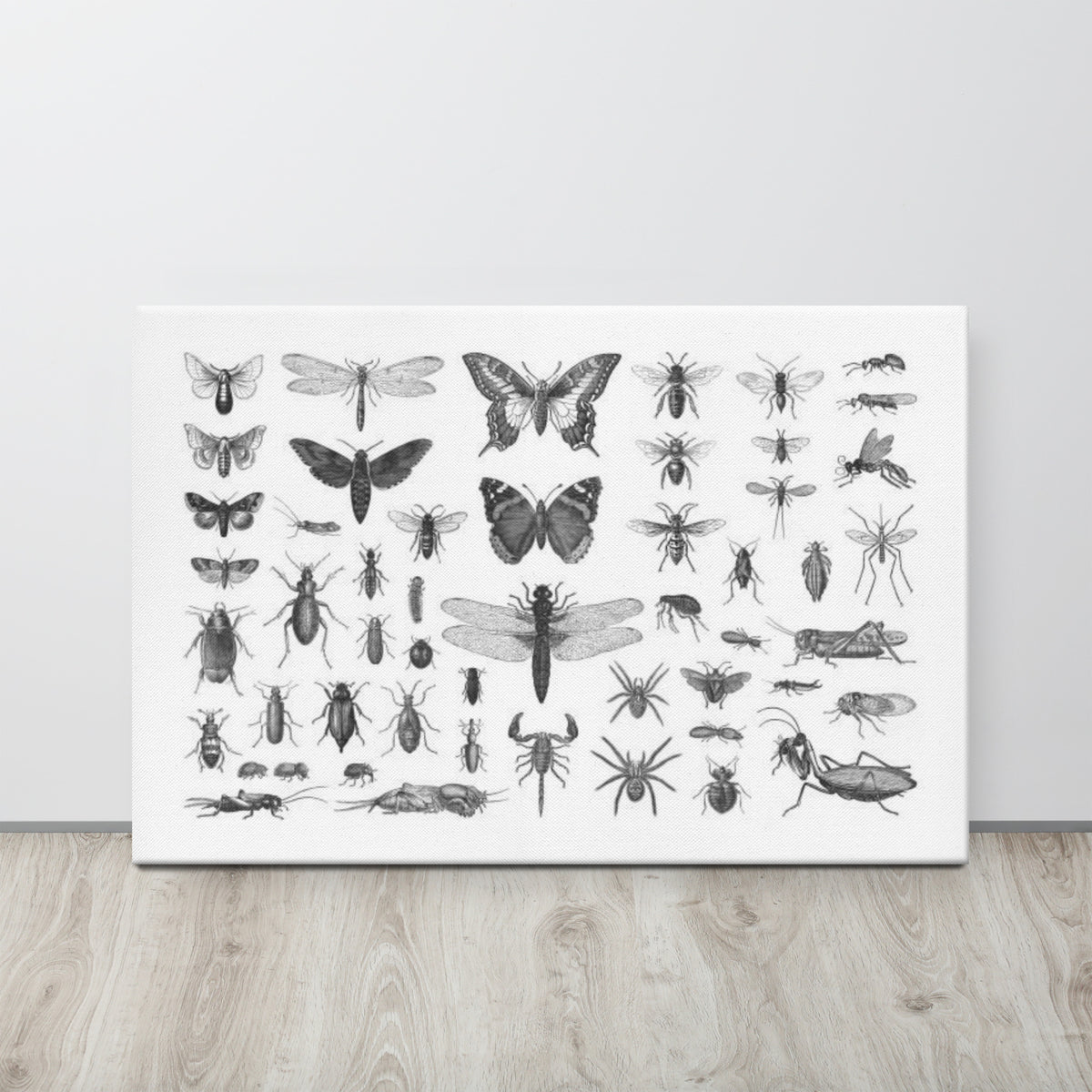 Canvas Wall Hanging Butterfly Collection Picture